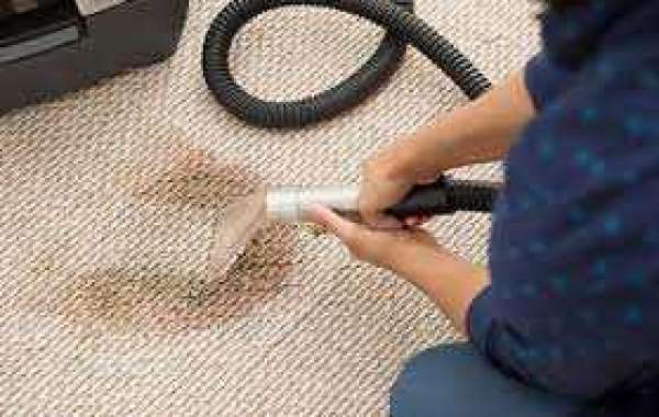 Enhancing Home Interiors with Regular Professional Carpet Cleaning