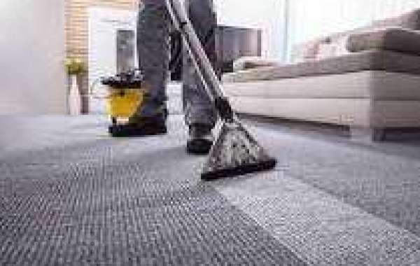 Professional Carpet Cleaning: An Essential for a Luxurious Home Appearance