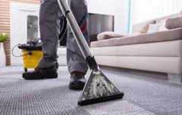 The Role of Professional Carpet Cleaning in Keeping Homes Beautiful