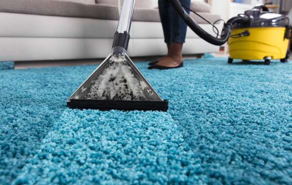 How Carpet Cleaning Contributes to a Healthy Living Environment