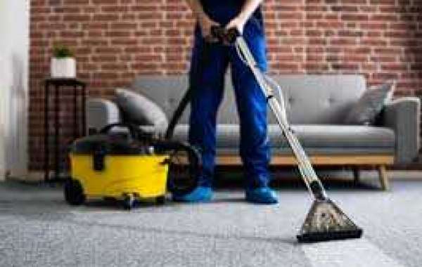 Improving Your Home’s Comfort with Professional Carpet Cleaning