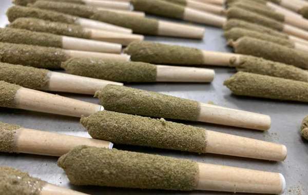 The Ultimate Guide to the Strongest Infused Pre Rolls on the Market